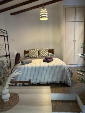 Cozy studio close to the Cathedral